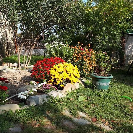 Old House Apartment With Garden Area Mtsʼkhetʼa Kültér fotó