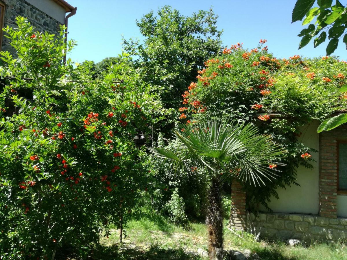 Old House Apartment With Garden Area Mtsʼkhetʼa Kültér fotó